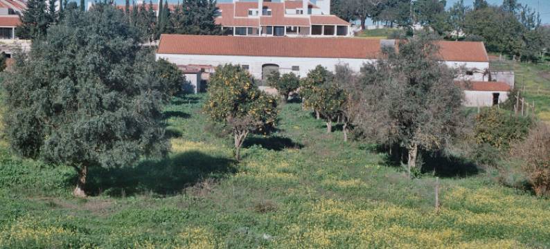 卡利波(Calipo)图片