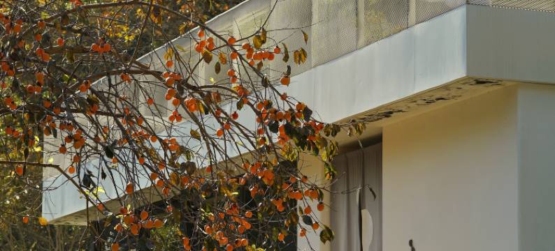 桐庐原乡芦茨民宿图片