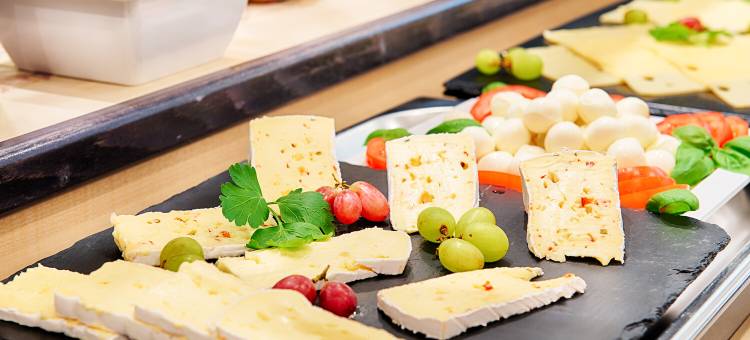 巴拉丁法兰肯塔尔ACHAT 酒店(ACHAT Hotel Frankenthal)图片