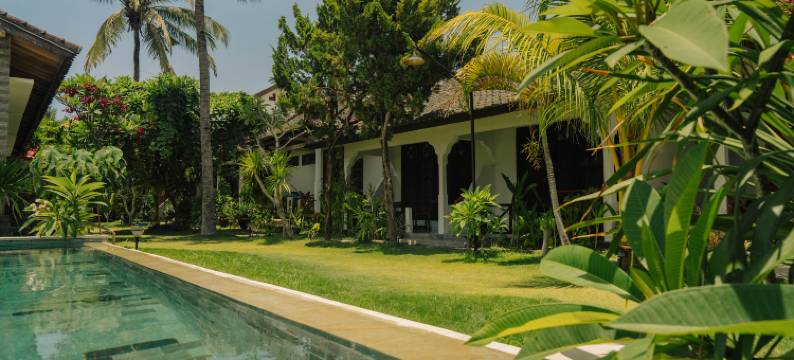 曼达利卡隐秘(The Confidential Mandalika)图片