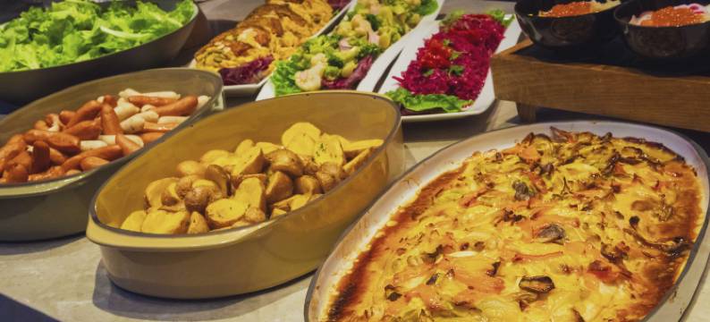 札幌王子酒店(Sapporo Prince Hotel)图片