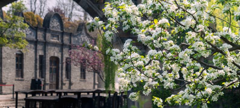 盐官潮乐之城酱园子民宿图片