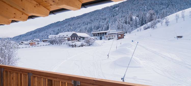 巴德克莱恩基希海姆库伊阿尔卑斯酒店(COOEE alpin Hotel Bad Kleinkirchheim)图片