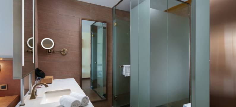 世佳豪庭酒店(湖南软件大学店)图片