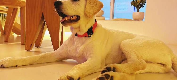 木子·无人智能美宿(德清西站沃尔玛店)图片