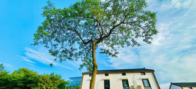 望园酒店(南京禄口国际机场金城学院店)图片