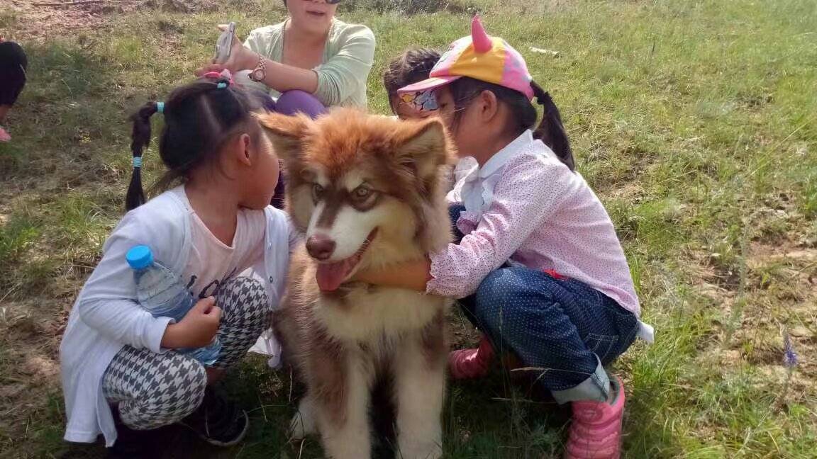 塞罕坝赛娅民宿图片