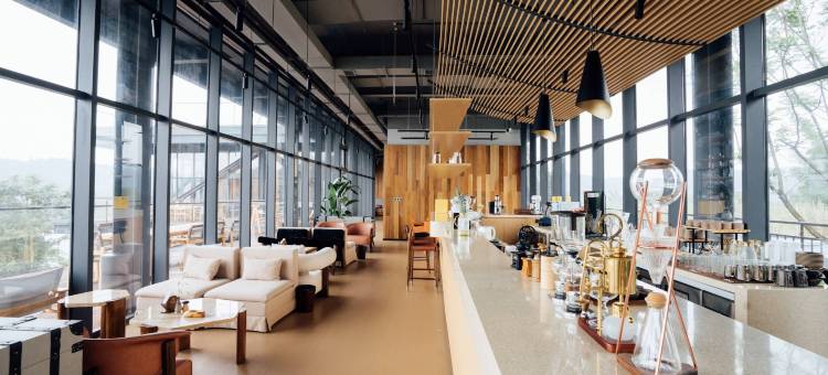 树蛙部落(泸州店)图片