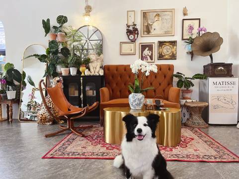 深圳囍鹊花园度假民宿图片