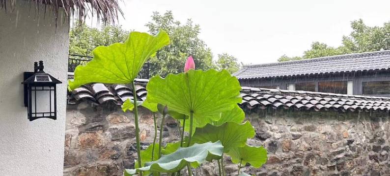 南遇乡舍民宿图片