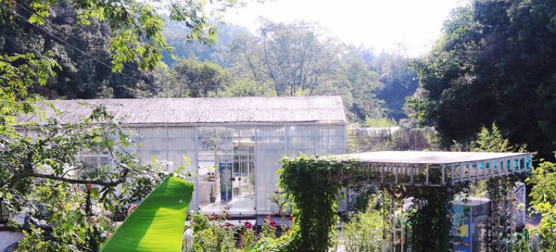 修水花深里帐篷民宿图片