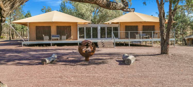 发现度假村 – 威尔平纳庞德(Discovery Resorts - Wilpena Pound)图片