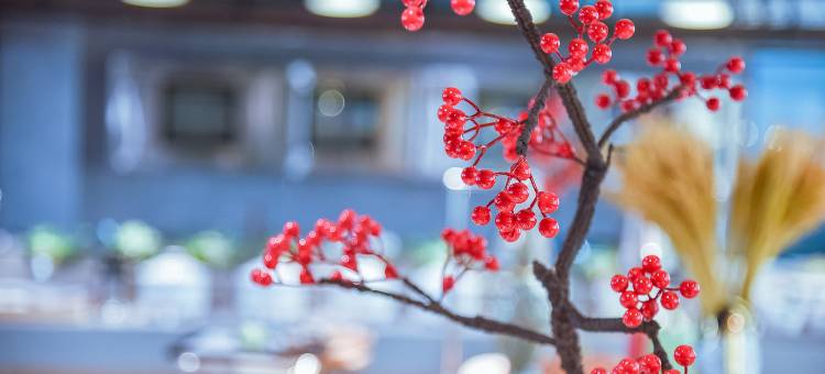 瑞都·万融商务大酒店图片