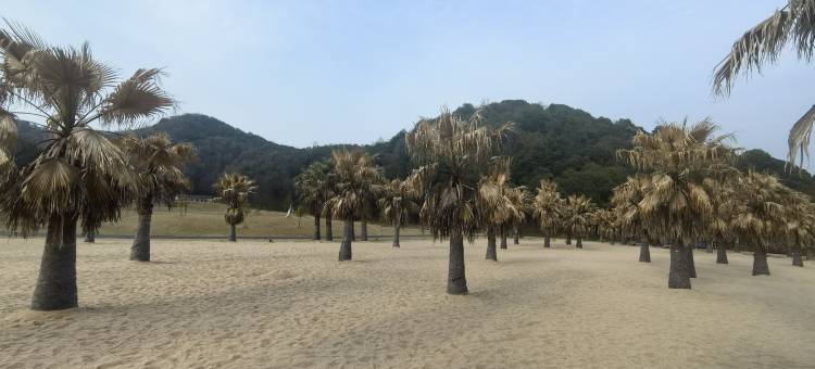 杭州榴步民宿(小和山地铁站店)图片