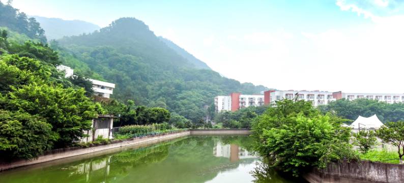 重庆山隐秋鸣酒店(四川外国语大学店)图片