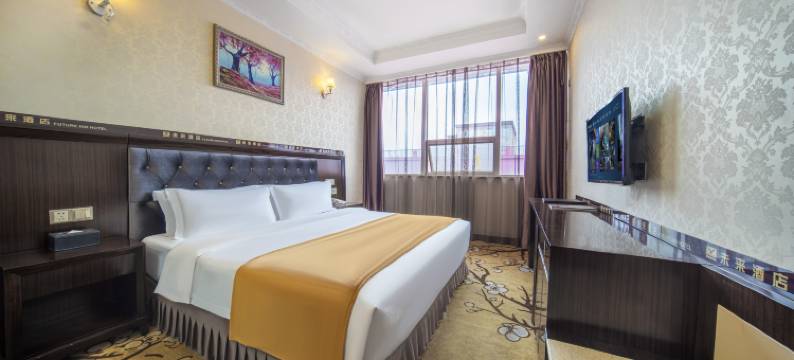 七鹿行·未来酒店(彭州龙兴寺望蜀里店)图片