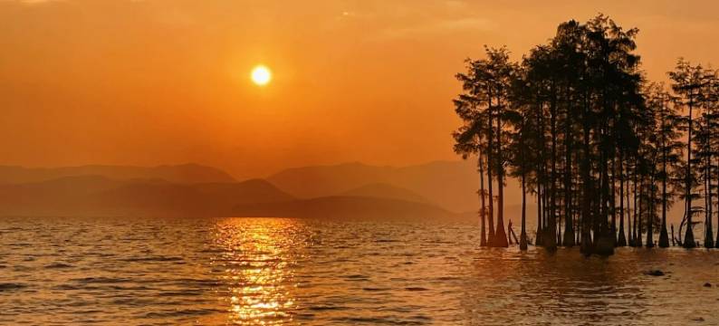 宅寂·食山食野|Free to be wild·设计师度假民宿(龙龛码头店)图片