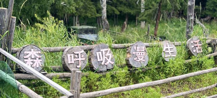 白哈巴不动山民宿图片