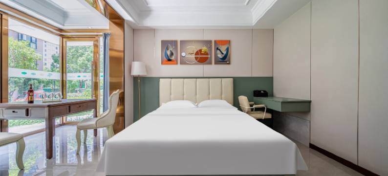 随州天梦绿飞行酒店图片