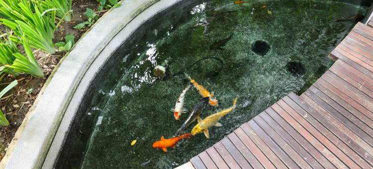 THE MEWS吉隆坡豪华公寓  【中文礼遇⭐️双子塔柏威年⭐️免费停车】(The Mews KLCC Kuala Lumpur By Gravity 【6mins Kuala Lumpur Tower(KL Tower)+ Restoran stadium Negara 】)图片