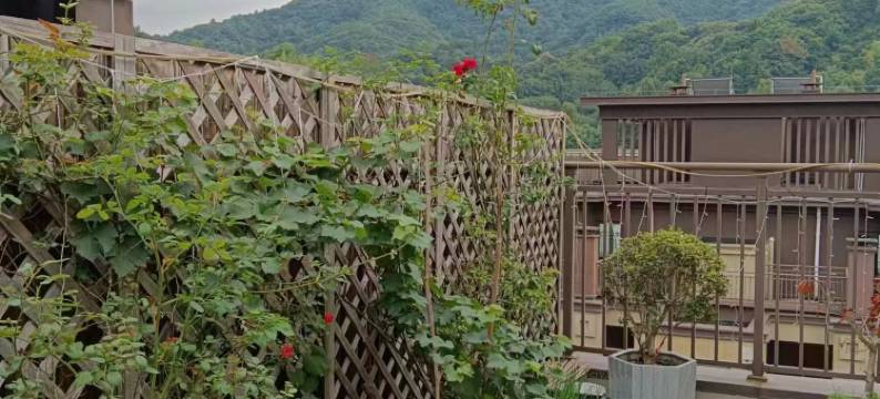 奉化水蜜桃民宿图片