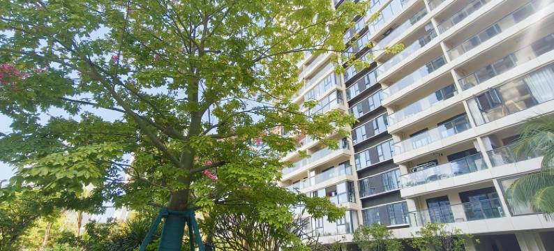 三亚崖州巴达公寓旅店(南山寺店)图片