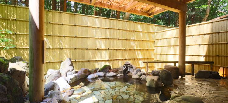 箱根小涌谷温泉水之音旅馆(Mizunoto)图片