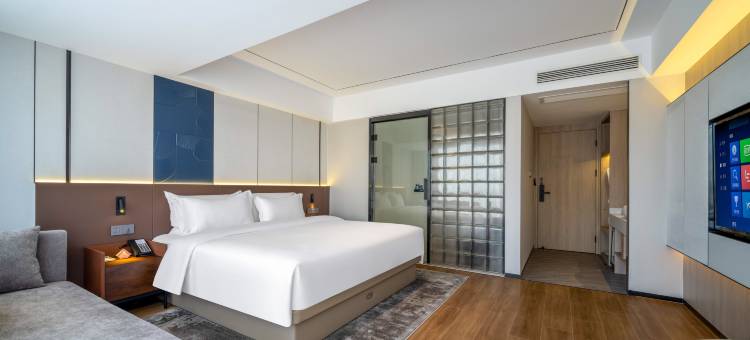 铂维斯维馨酒店(惠州西湖东站店)图片