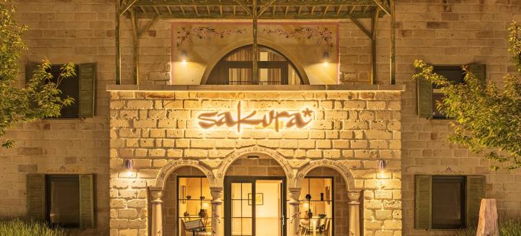 AJWA卡帕多西亚酒店(Ajwa Cappadocia - Preferred Hotels Legend Collection)图片