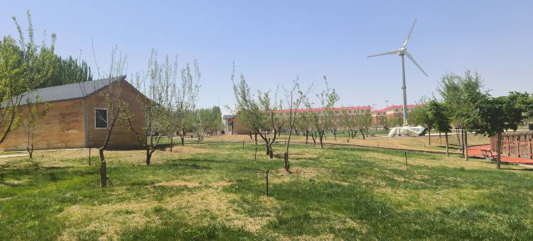 叶城二牧场唐王城杏花迎宾馆图片