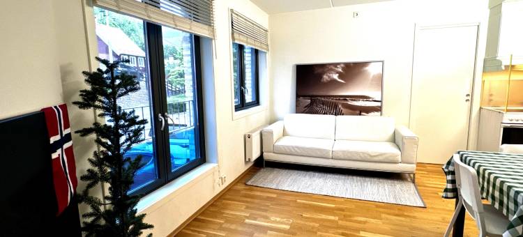 DISCOUNTED Apartment in Oslo City图片