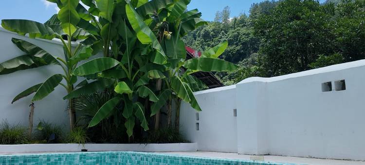 吾桐小院(张家界国家森林公园店)图片