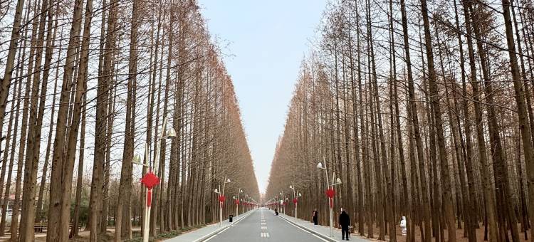 日照旺海居渔家图片