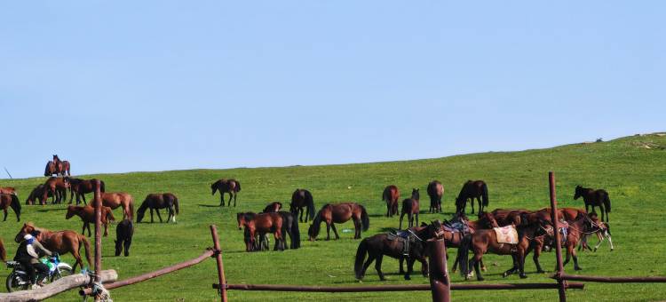 塞外五福游牧人家图片