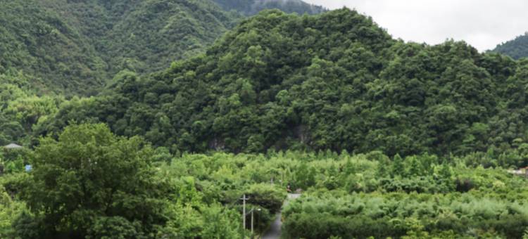 杭州看见温泉度假民宿图片