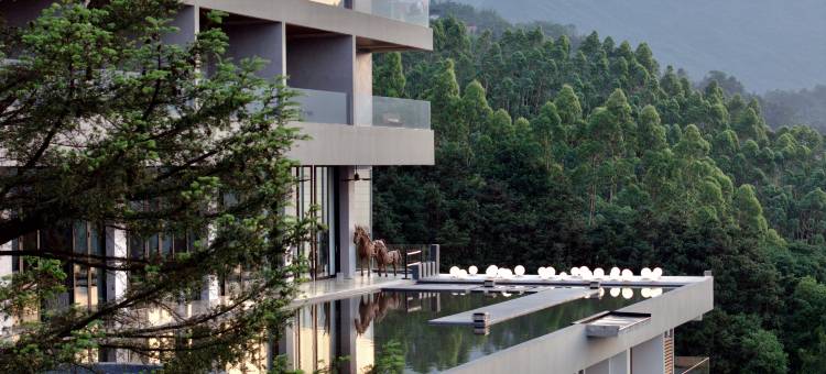 上林一棵松度假村图片