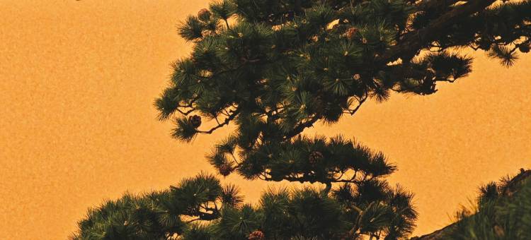 龙岩客都(国际)温泉酒店图片