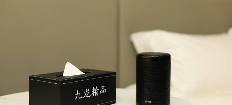 扶余九龙酒店(扶余火车站店)图片