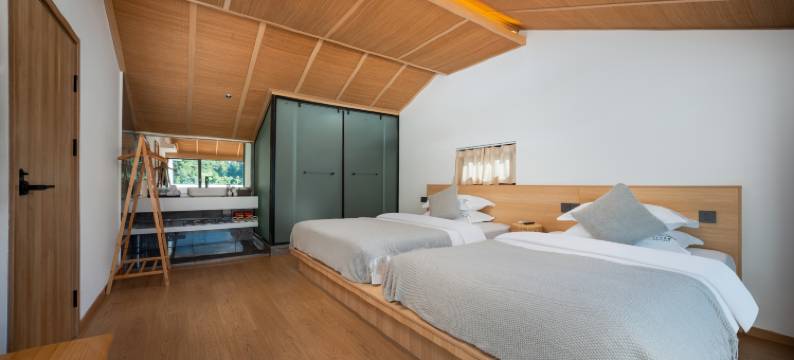 373·栖山画境·villa度假民宿(三清山港首索道店)图片