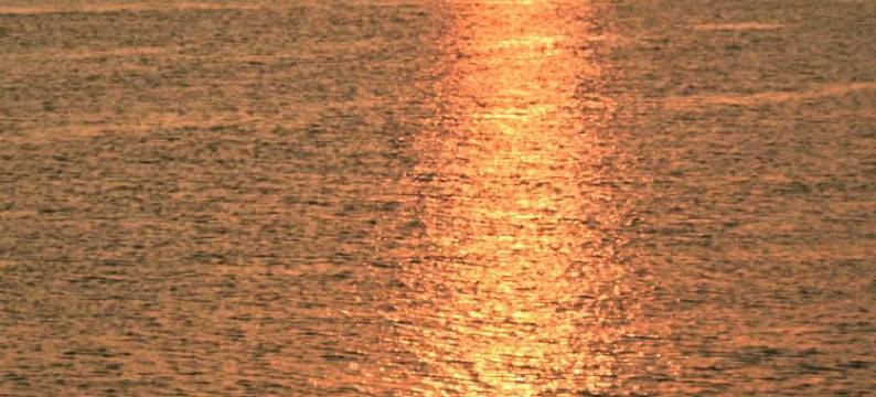 白庙·揽月民宿图片