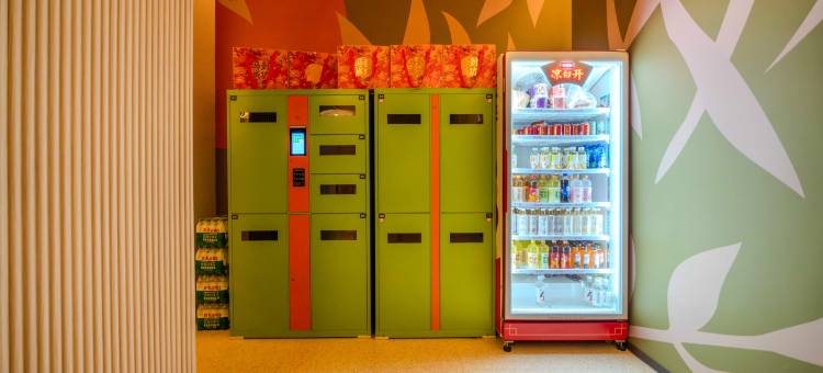 季枫酒店(陇南成县机场师范学院店)图片