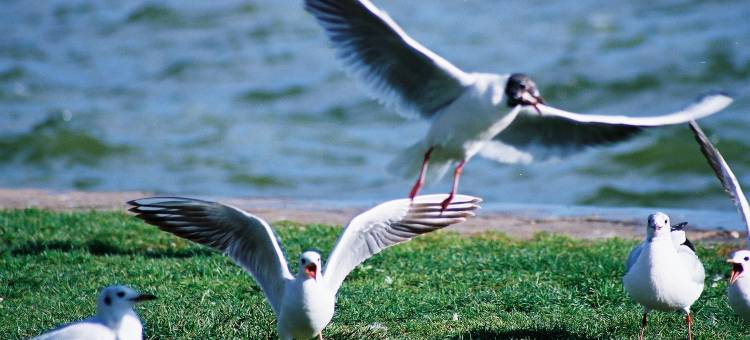 昆明洲际酒店图片