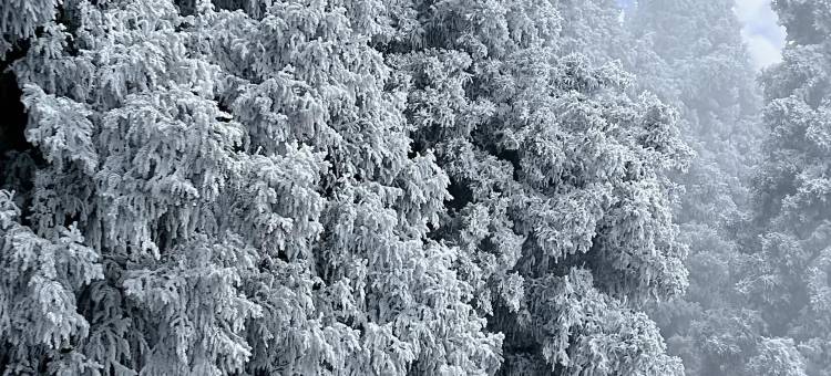 常栖雅居高端民宿(南岳衡山景区店)图片