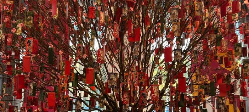 上海浦东嘉里大酒店图片