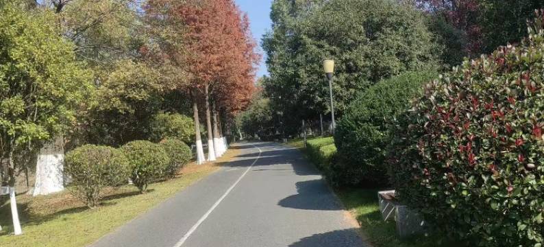 潮漫智慧酒店图片