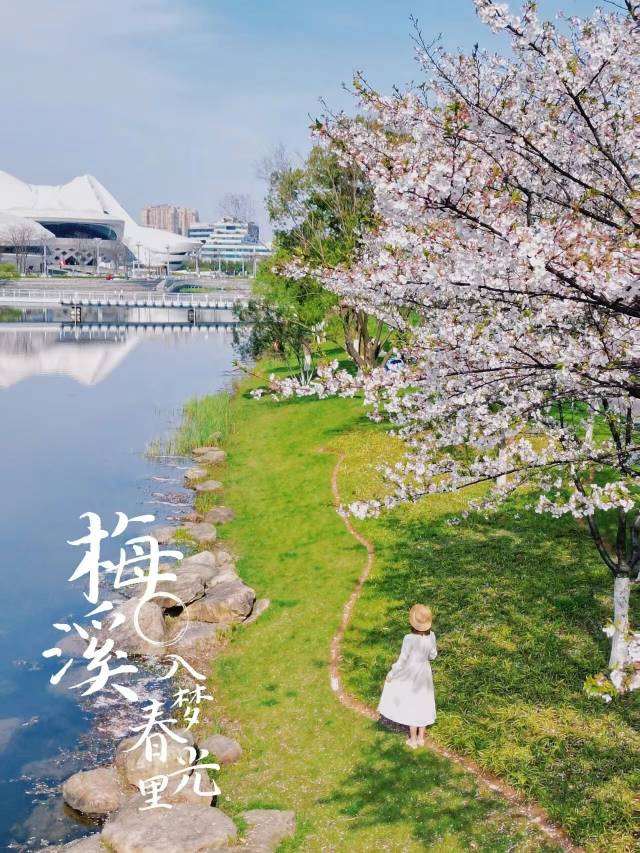 长沙梅溪湖金茂豪华精选酒店图片