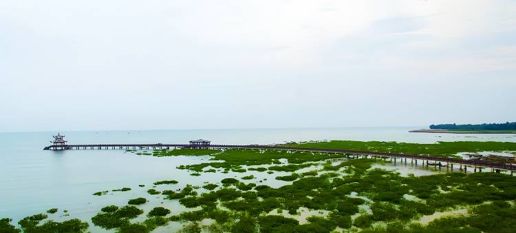 防城港逅浪海景民宿(企沙镇簕山古渔村店)图片