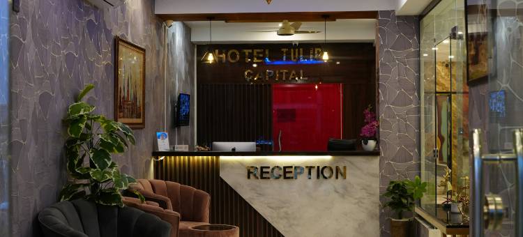 郁金香首都酒店(Tulip Capital Hotel)图片