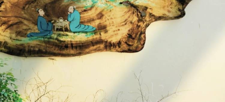 邛崃守拙民宿图片