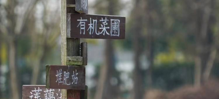 无锡巡塘书香府邸酒店图片